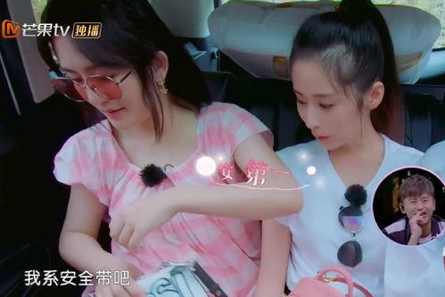 谢娜爆料最危险的视频,揭秘最危险视频背后的惊心动魄