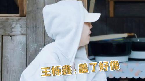 张远爆料王乐鑫视频,事件背后有何隐情？