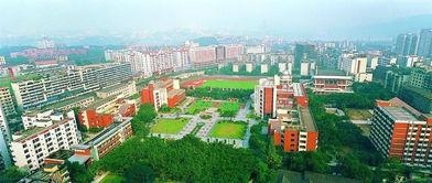 重庆一中最新中学爆料,最新校园爆料直击学子生活点滴