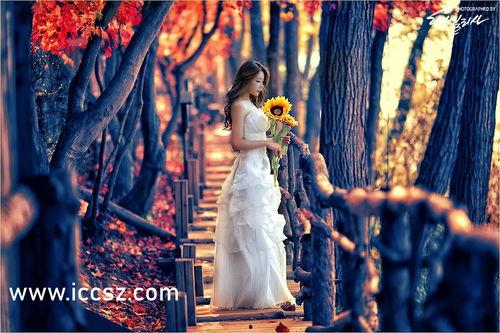 困兽第一季在线观看,逃出生天的惊心动魄之旅