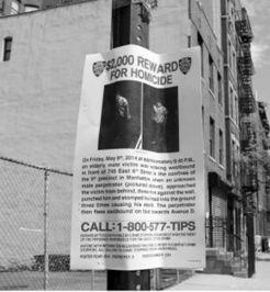 纽约华人最新爆料,揭秘纽约华人社区背后的故事