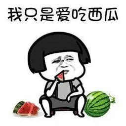 吃瓜娱乐圈怎么做